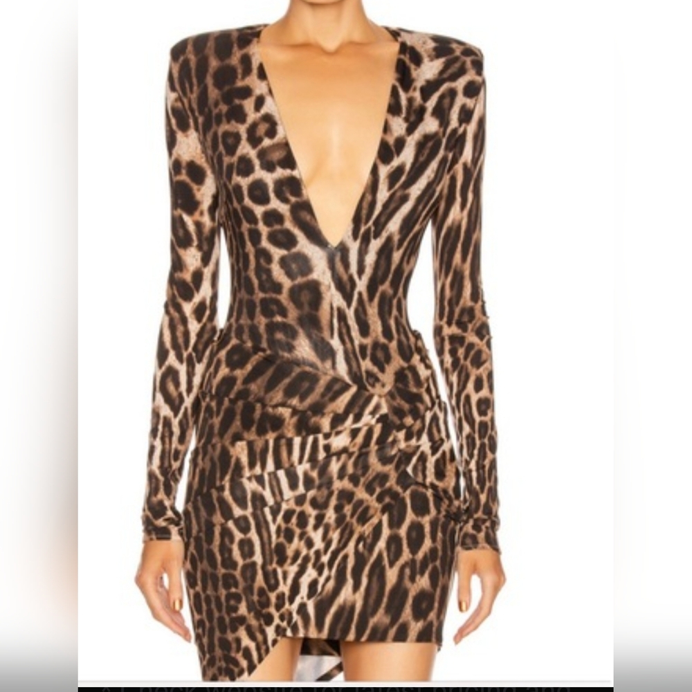 Leopard Print Long Sleeve Dress